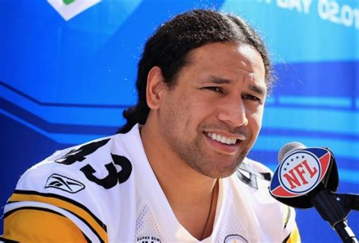 Troy Polamalu Biography, Height & Life Story Super Stars Bio