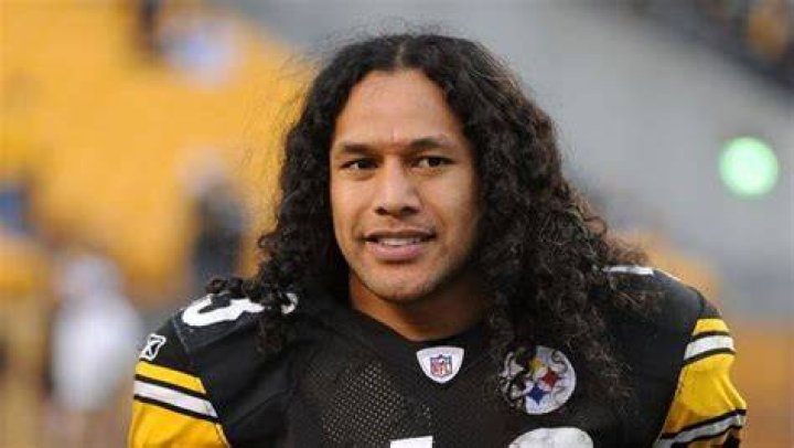 Troy Polamalu Net Worth & Bio/Wiki 2018 Facts Which You Must To Know!