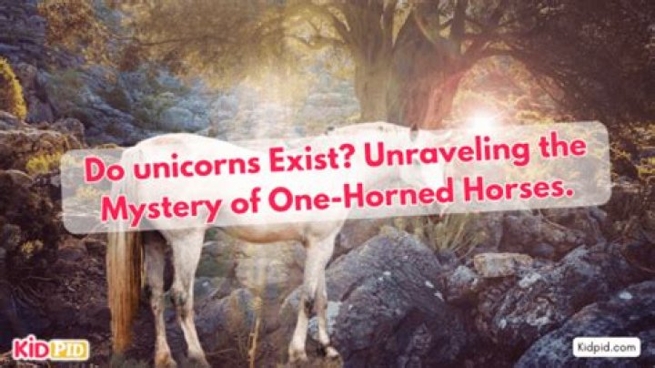 Unicorns Are Real The Mystery Box Saga Portland Leather