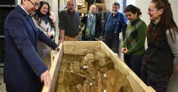 Unveiling Tammy Thayer: Discoveries And Insights Into Albuquerque's Mayor