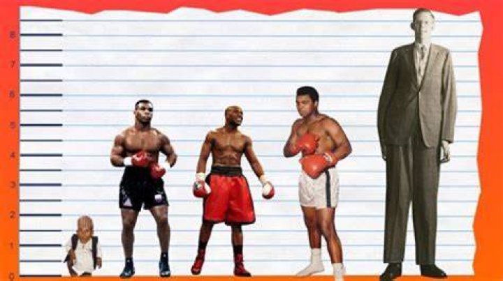 Unveiling The Enigma: Mike Tyson's Untold Story And Insights