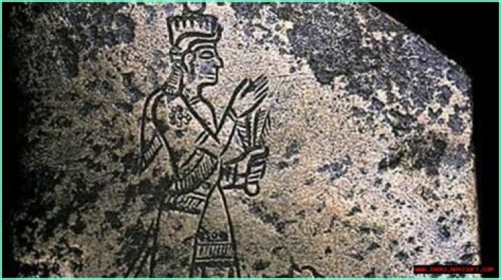 Unveiling The Enigmatic Stature Of Mora: Discoveries And Insights Await