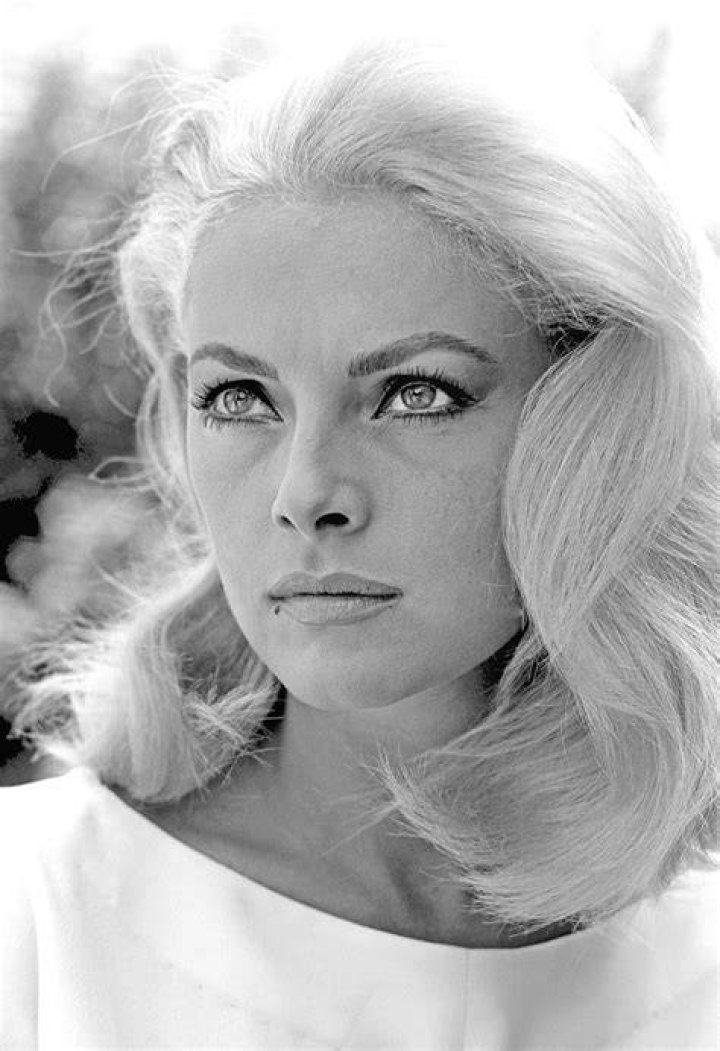 Virna Lisi Profile Images &mdash; The Movie Database (TMDB)