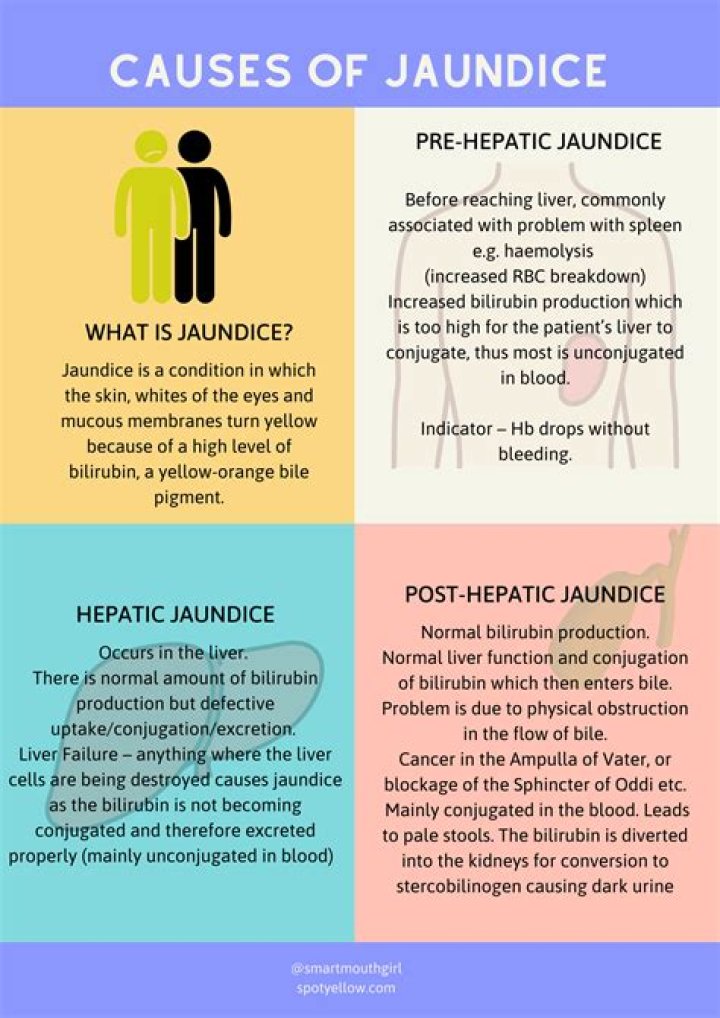 What Causes Jaundice & How Long Does It Usually Last?