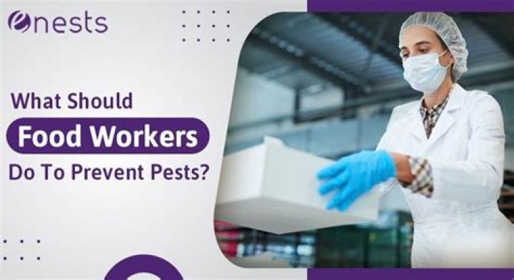 What Should Food Workers Do to Prevent Pests? World Ans