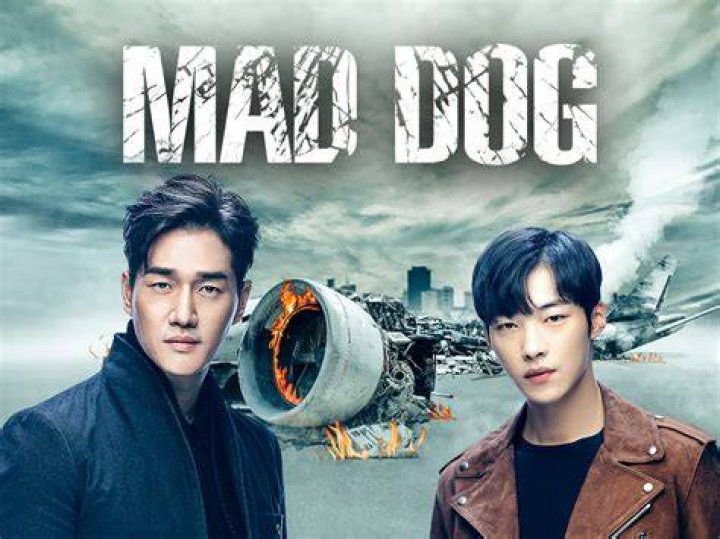 When Advertising Went Mad Dog Crazy. by Robert Cormack Bullshit.IST