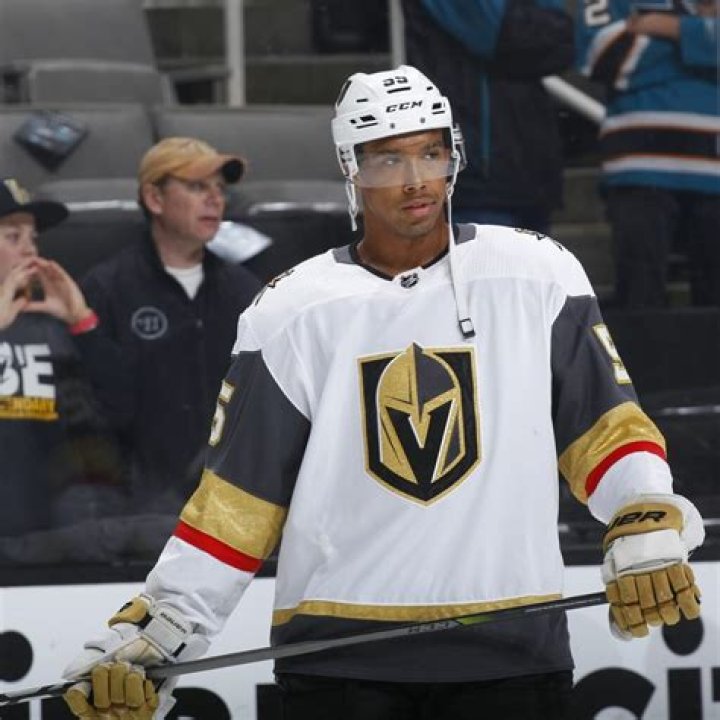 Who Is NHL Player Keegan Kolesar Mother Corrinne Kolesar? Biological